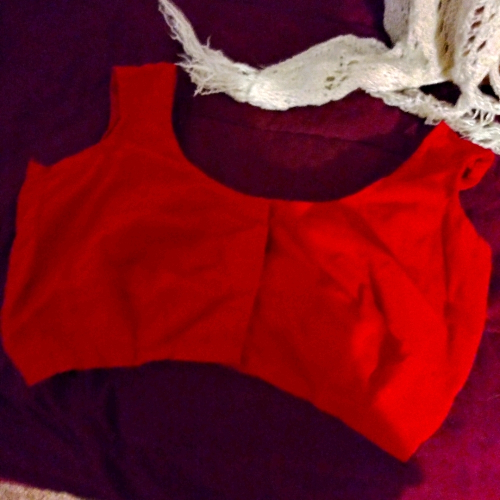Choli Top